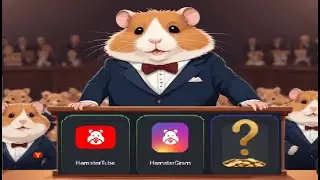 Хамстер Комбат комбо карты 12 июня! Combo Hamster Kombat