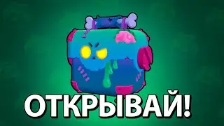 КАК ПОЛУЧИТЬ НОВЫЙ ПОДАРОК ОТ БРАВЛ СТАРС?🤯