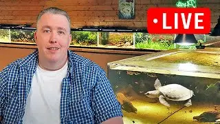 Why does pH crash? Sunday Aquarium School Live Episode 292