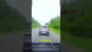 В каждой бочке ЗАТЫЧКА! #дтп #видеорегистратор #авария