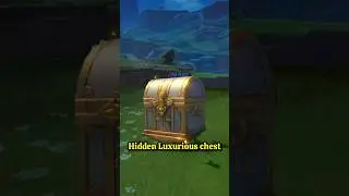 Go get this hidden luxurious chest 