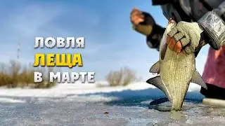 НАШЁЛ ЛОГОВО ЛЕЩА и УСТРОИЛ ЕМУ ВАКХАНАЛИЮ!!! Ловля леща в марте