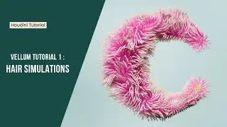 Houdini Vellum Tutorial 1 : Basic Hair Simulations