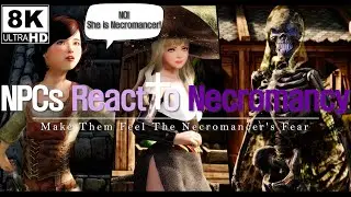 SKYRIM MOD I JaySerpa's NPCs React To Necromancy