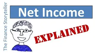 What is Net Income?