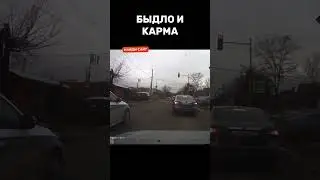 Как же приятно на такое смотреть   