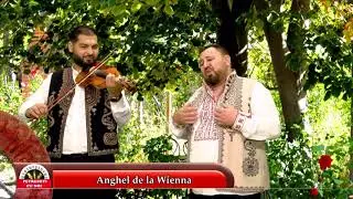 Anghel de la Wienna - Stai vecina ❌New 2024❌