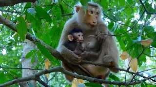 Rose take tiny baby to the tree escape from mamma Gladdis like kidnapping to baby Gabriel