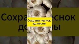 Капсула времени для чеснока!  
