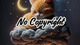 Cat's Dreams / No Copyright Music / Calm Cozy Lofi Dreams Background Music / SoulProdMusic
