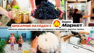 Уютные покупки для дома с Яндекс Маркета и ВБ😍Ежедневная рутина✅Готовим и убираем💪Собрали урожай🍇