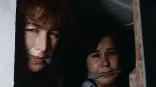 RED HEAT Movie Review (1985) Schlockmeisters 