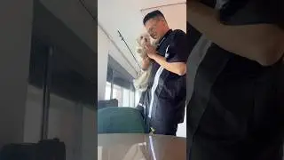 איך רוצים אותה כולם
