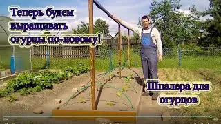 Шпалера для огурцов. Своими руками. Выращивание огурцов в открытом грунте. Из столицы в деревню.