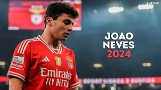 João Neves 2024 - World Class Skills, Goals & Assists | HD