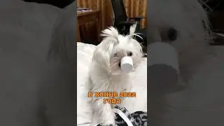 В начале года / в конце года