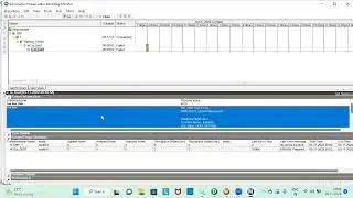 Informatica 10.2 Workflow Monitor and properties