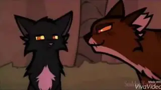 Коты Воители - Звездоцап.(Tigerstar) - Заказ с канала Кленовница Предводительница