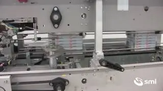 SMI LWP30 Wrap Around Case Packer
