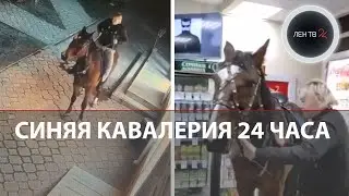 Атака синей кавалерии | Всадница въехала в ночной алкомаркет в Крыму | Пьяные походы на лошадях