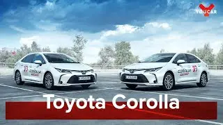 Новая Toyota Corolla 2019: Почти Avensis? Обзор 1.8 hybrid и 1.6 с вариатором от 