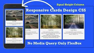 How To Make Responsive Website Cards Using HTML And CSS Flex box | No Media Query  | 