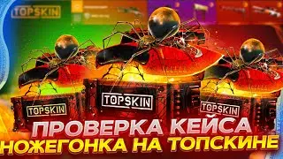 ПРОВЕРКА ФАРМ КЕЙСА НОЖЕГОНКА! ВЫБИЛ 2 НОЖА НА TOPSKIN! ПРОМОКОД +40% CASE40