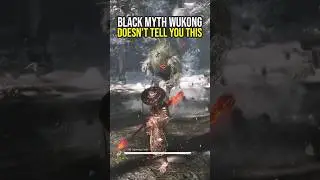 Things Black Myth Wukong Doesn't Tell You...