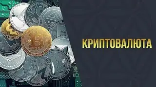 Стена на покупку umi из 365 btc: что это такое?
