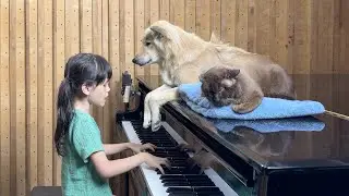 Emilie Plays Piano for Sharky the Dog and Satang the Cat