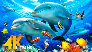 Aquarium 4K VIDEO (ULTRA HD) - Beautiful Coral Reef Fish - Sleep Relaxing Meditation Music