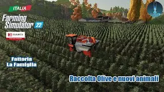 FS 22 Fattoria La Famiglia Raccolta Olive e nuovi animali