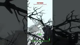 Worst part of fighting vertibirds | Fallout 4 Gameplay Highlights