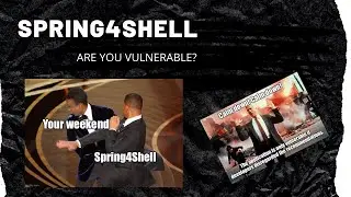 CVE-2022-22965 Spring4Shell: Spring Framework Zero-Day Security Vulnerability In 10 Minutes