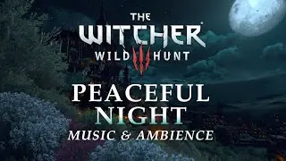 The Witcher Music & Ambience | Peaceful Night in Toussaint in 4K