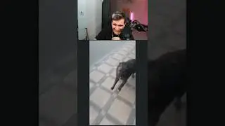 Эээ Бля 😂 | Подписка и Лайк ❤ 