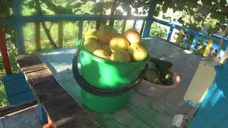 Как быстро засолить вкусные огурчики. Пальчики оближешь!!!