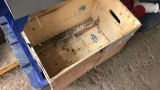 Измельчение ПНД канистр целиком