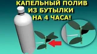 Капельный полив из пластиковой бутылки