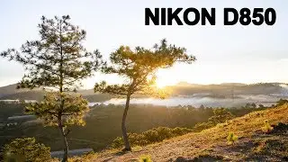 NIKON D850 PHOTOGRAPHY - SAMPLE IMAGES - ROYALTY FREE PICTURES