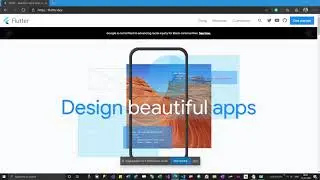 Flutter development - Class 6 - Image widgets