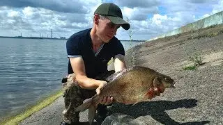 Ловля Крупного ЛЕЩА. Матырское водохранилище. (LiveFishing)