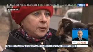 Мама с малышом погибли под колесами вылетевшей с дороги машины во Владивостоке