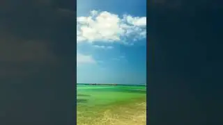 Райский уголок #shorts