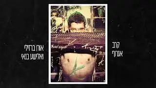 אורן ברזילי ואלישע בנאי - קרב אגרוף