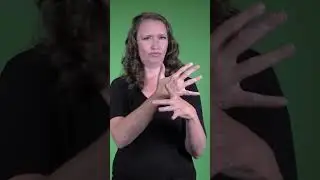 🇩🇪 German in ASL 🇩🇪  Essential Language Learning Vocabulary 