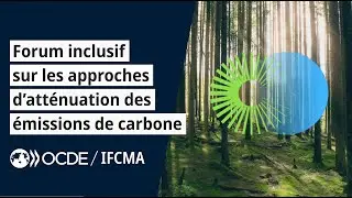 Enjeux du Forum inclusif sur les approches d’atténuation des émissions de carbone