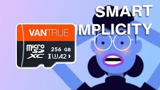 Secure Your Footage with Vantrue's High-Endurance 256GB MicroSD Card - Perfect for Dash Cams, Body C