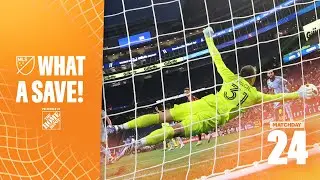 What A Save! | The BEST Saves of Matchday 24!