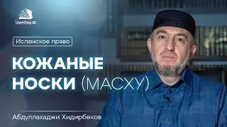 Кожаные носки (МАСХУ)